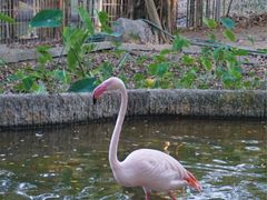 -清迈夜间动物园