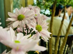 -花二家·生活馆(六运小区店)