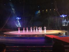 -灵玲国际马戏城
