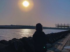 -南汇嘴观海公园