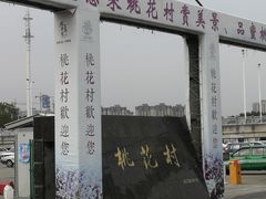 -南汇桃花村