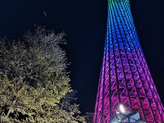 -珠江夜游广州塔·中大码头