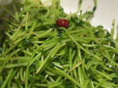 -青花椒花椒鱼(合生汇店)