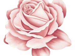 -荣德灶台鱼(圣泉寺店)