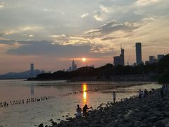 -深圳湾公园(南山区)