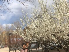 -回龙观体育文化公园