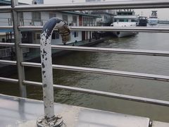 -武昌中华路码头(轮渡站)