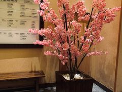 -大江户·温泉洗浴(浑南店)