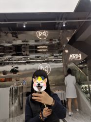 -魔型社