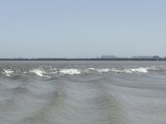 -观潮胜地公园