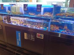 -同庆楼(天鹅酒家店)