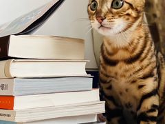 -Me Coffee下午茶艺术空间