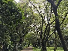 -火炉山森林公园