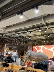 -鲁比猴非洲探索部落(喜盈门店)