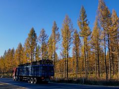 -塞罕坝国家级自然保护区