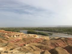 -煲来饱去冷水鱼