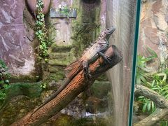 -上海大自然野生昆虫馆(东方明珠·爬宠昆虫探索中心)