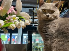 -么么咖啡(燕郊店)