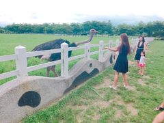 -瑞穗牧场