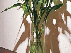 -八月美食小馆(银泰城总店)