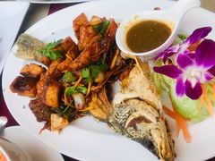 -Daddy Nimman Chiang Mai
