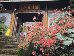 -中国茶叶博物馆(双峰馆区)