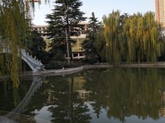 -西安市长乐公园