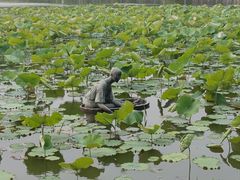 -西湖游船