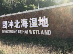 -腾冲北海湿地