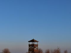 -盐城丹顶鹤湿地生态旅游区