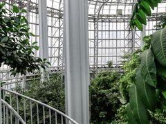 -郑州植物园