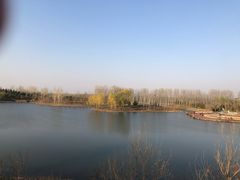 -东郊湿地公园