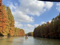 -上海海湾国家森林公园