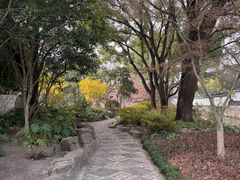 -秋霞圃