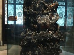 -乐山乌木文化博览苑