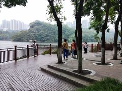 -重庆彩云湖湿地公园