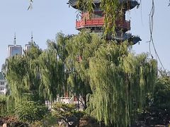 -迎泽公园