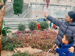 -长春农业博览园