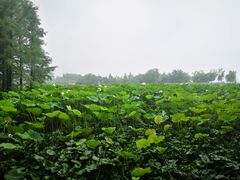 -云龙湖旅游景区