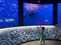 -沈阳海洋探索中心