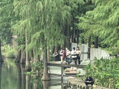 -重庆彩云湖湿地公园