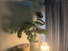 -樾·YUE Massage(光明蓝鲸世界店)