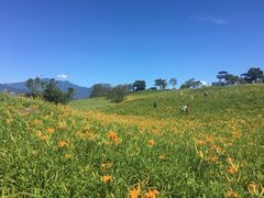 -七星潭蓝天广场