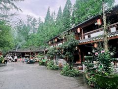 -青城甲(青城山店)