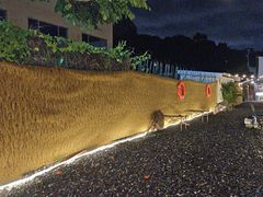 -DGE季风钓虾营地·团建·聚会