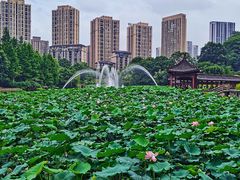 -龙头寺公园