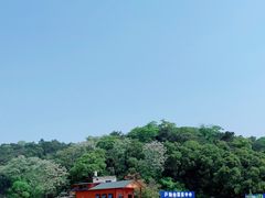 -芦仙山景区-飞越丛林探险乐园