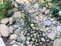 -成都市活水公园