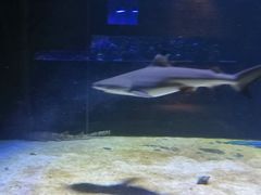 -zoonana室内动物园(东方福来德店)