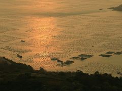 -枸杞岛